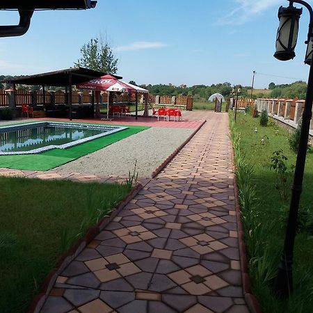 Casa Robi Otel Pestisani Dış mekan fotoğraf
