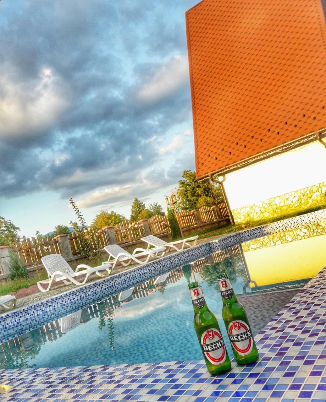 Casa Robi Otel Pestisani Dış mekan fotoğraf